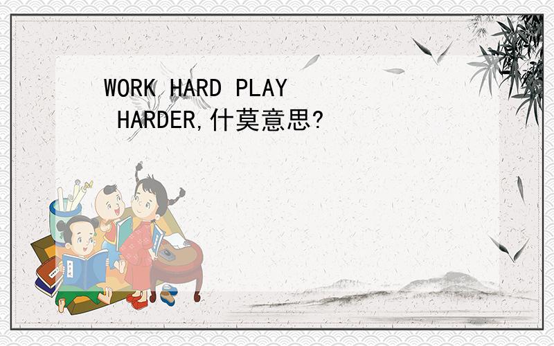 WORK HARD PLAY HARDER,什莫意思?