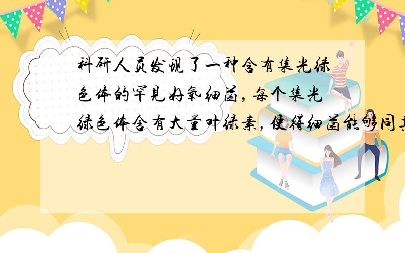 科研人员发现了一种含有集光绿色体的罕见好氧细菌，每个集光绿色体含有大量叶绿素，使得细菌能够同其他生物争夺阳光，维持生存．