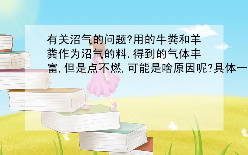 有关沼气的问题?用的牛粪和羊粪作为沼气的料,得到的气体丰富,但是点不燃,可能是啥原因呢?具体一点,最好能有改造的途径