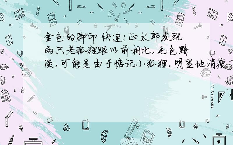 金色的脚印 快速!正太郎发现两只老狐狸跟以前相比,毛色黯淡,可能是由于惦记小狐狸,明显地消瘦了.　　正太郎真想替小狐狸解