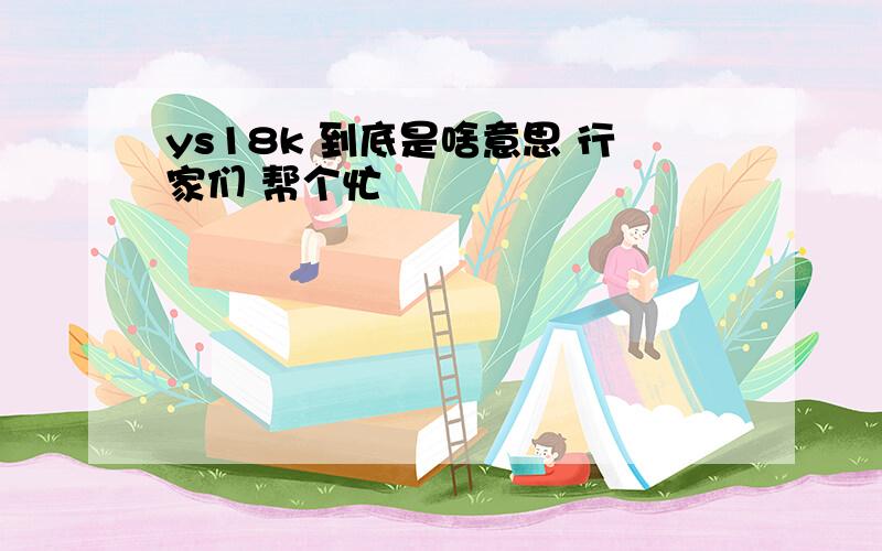 ys18k 到底是啥意思 行家们 帮个忙