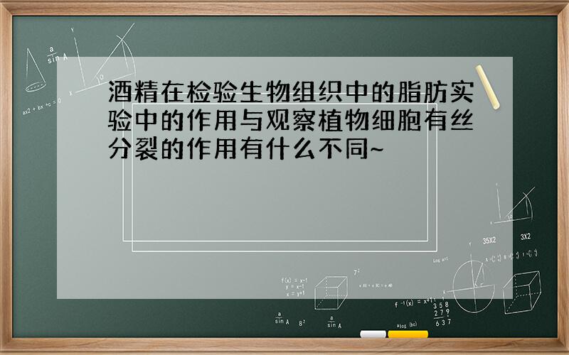 酒精在检验生物组织中的脂肪实验中的作用与观察植物细胞有丝分裂的作用有什么不同~