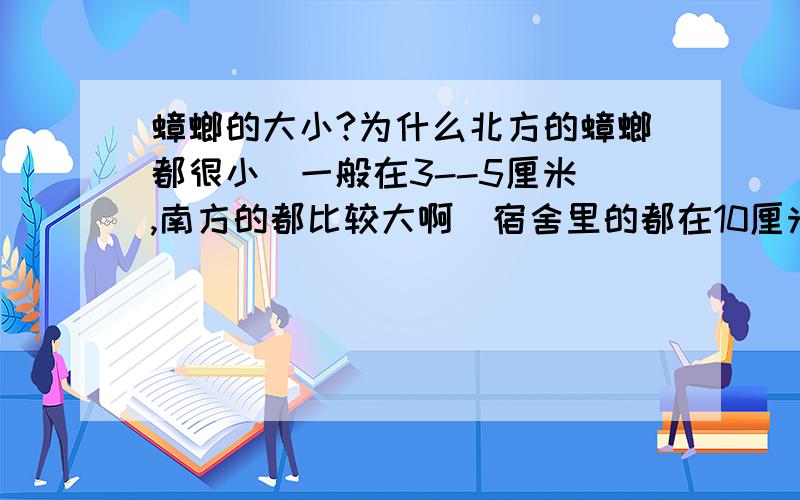 蟑螂的大小?为什么北方的蟑螂都很小(一般在3--5厘米),南方的都比较大啊(宿舍里的都在10厘米左右)?严肃点