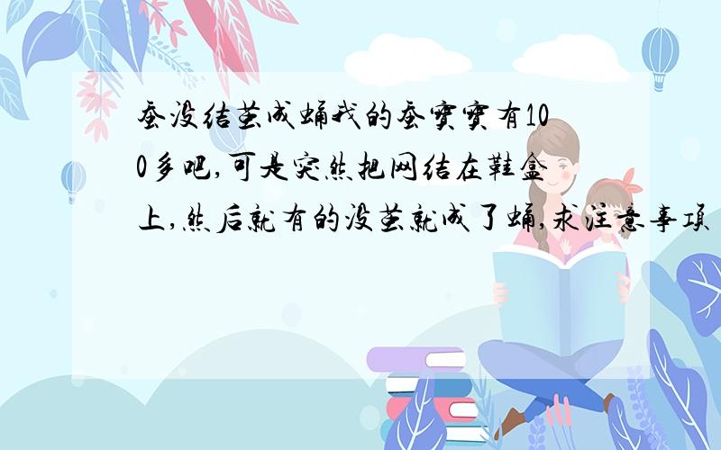 蚕没结茧成蛹我的蚕宝宝有100多吧,可是突然把网结在鞋盒上,然后就有的没茧就成了蛹,求注意事项