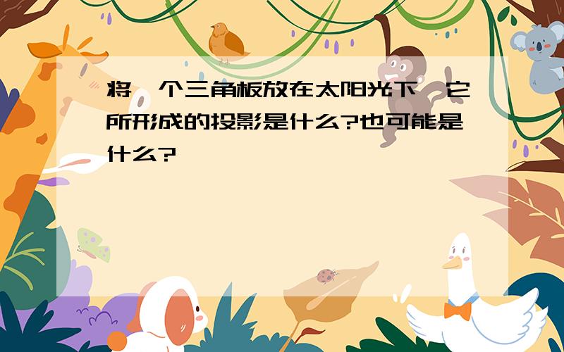 将一个三角板放在太阳光下,它所形成的投影是什么?也可能是什么?