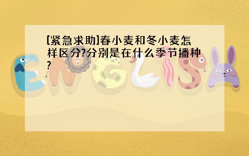 [紧急求助]春小麦和冬小麦怎样区分?分别是在什么季节播种?