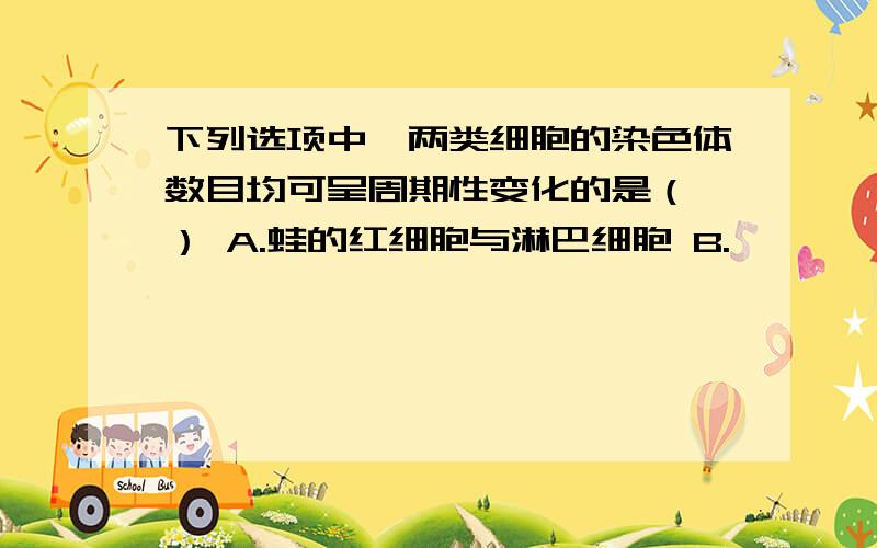 下列选项中,两类细胞的染色体数目均可呈周期性变化的是（ ） A.蛙的红细胞与淋巴细胞 B.