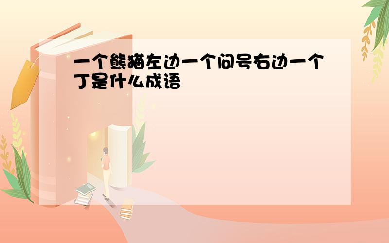 一个熊猫左边一个问号右边一个丁是什么成语