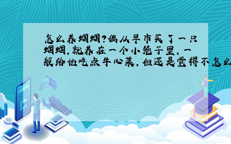 怎么养蝈蝈?偶从早市买了一只蝈蝈,就养在一个小笼子里,一般给他吃点牛心菜,但还是觉得不怎么吃,晚上叫得很厉害,下午3 4