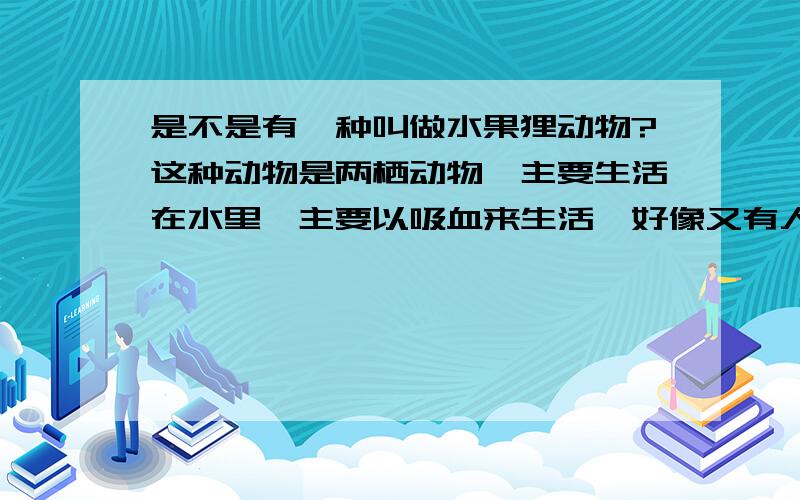 是不是有一种叫做水果狸动物?这种动物是两栖动物,主要生活在水里,主要以吸血来生活,好像又有人称水鬼,