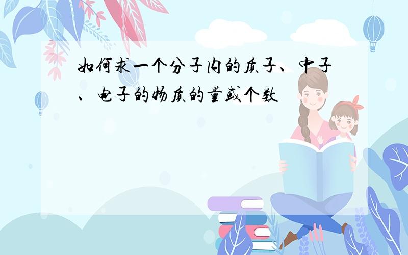 如何求一个分子内的质子、中子、电子的物质的量或个数