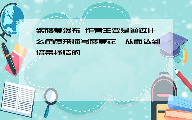 紫藤萝瀑布 作者主要是通过什么角度来描写藤萝花,从而达到借景抒情的