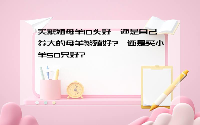 买繁殖母羊10头好,还是自己养大的母羊繁殖好?,还是买小羊50只好?