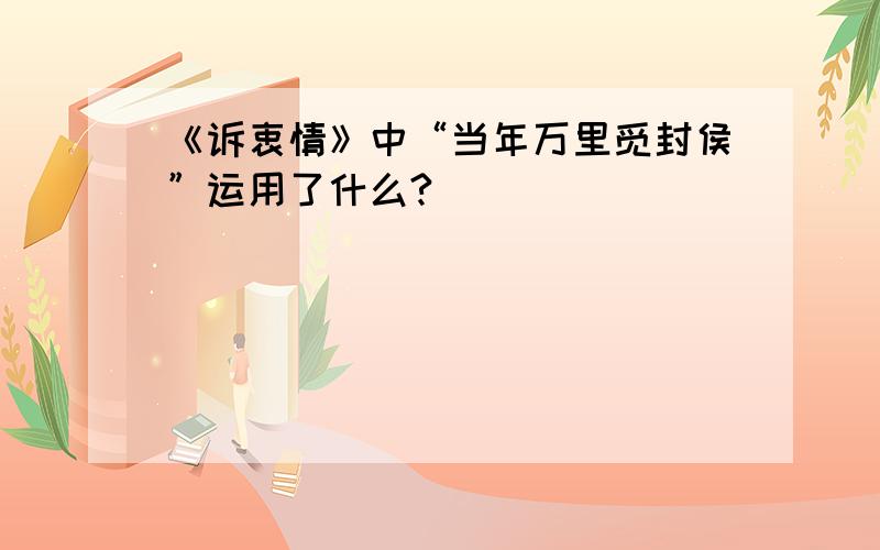 《诉衷情》中“当年万里觅封侯”运用了什么?