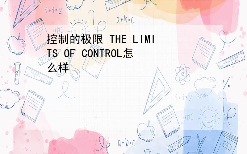 控制的极限 THE LIMITS OF CONTROL怎么样