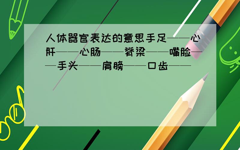 人体器官表达的意思手足——心肝——心肠——脊梁——嘴脸——手头——肩膀——口齿——