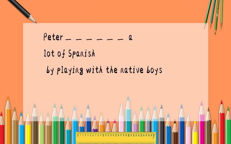 Peter______ a lot of Spanish by playing with the native boys