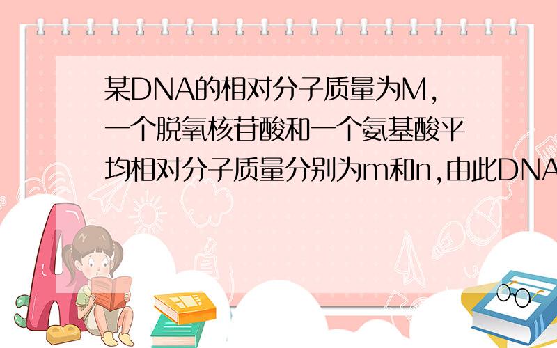 某DNA的相对分子质量为M,一个脱氧核苷酸和一个氨基酸平均相对分子质量分别为m和n,由此DNA控制合成的一条多肽链的相对