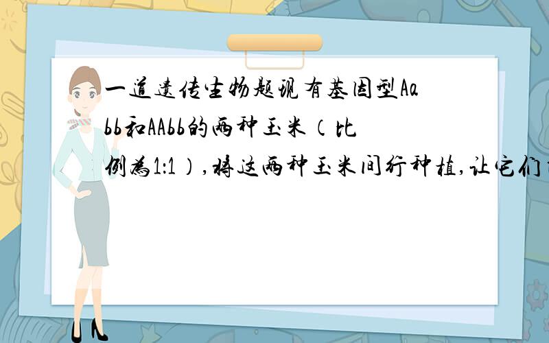 一道遗传生物题现有基因型Aabb和AAbb的两种玉米（比例为1：1）,将这两种玉米间行种植,让它们自由传粉,那么,后代中