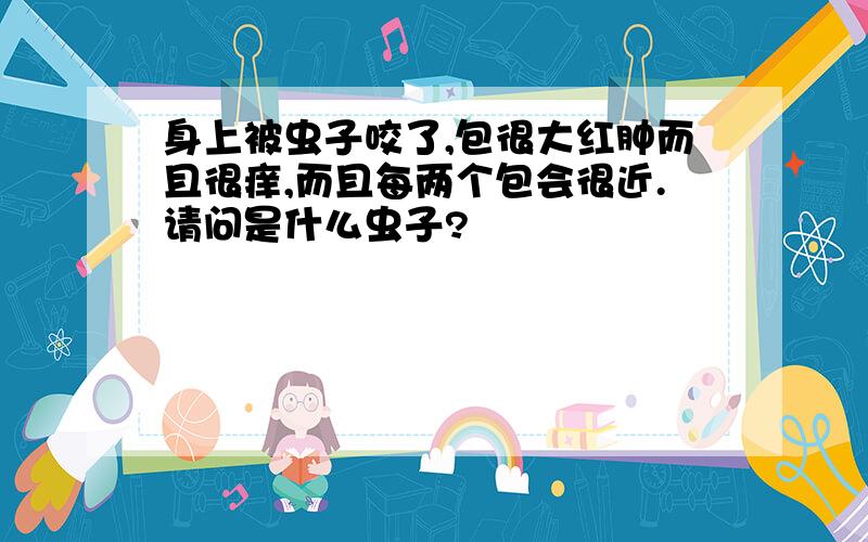 身上被虫子咬了,包很大红肿而且很痒,而且每两个包会很近.请问是什么虫子?