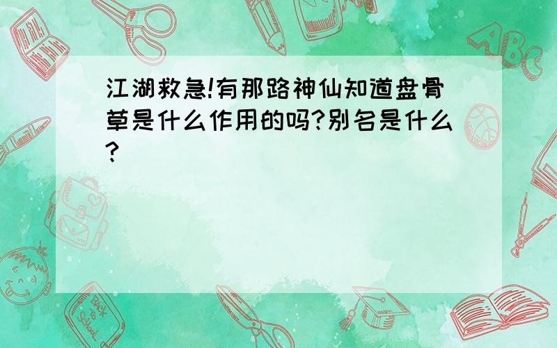 江湖救急!有那路神仙知道盘骨草是什么作用的吗?别名是什么?