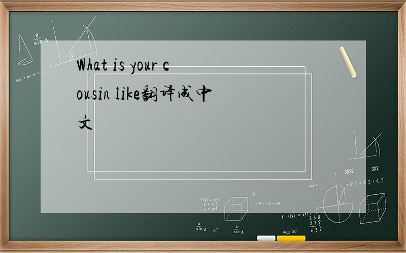 What is your cousin like翻译成中文