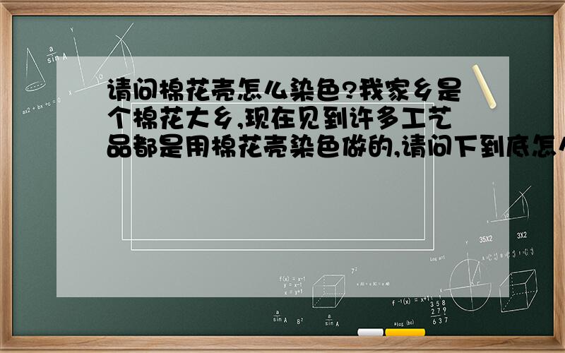 请问棉花壳怎么染色?我家乡是个棉花大乡,现在见到许多工艺品都是用棉花壳染色做的,请问下到底怎么给棉花壳染色?可以帮人代收