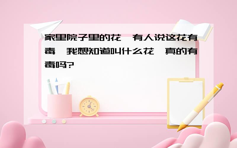 家里院子里的花,有人说这花有毒,我想知道叫什么花,真的有毒吗?