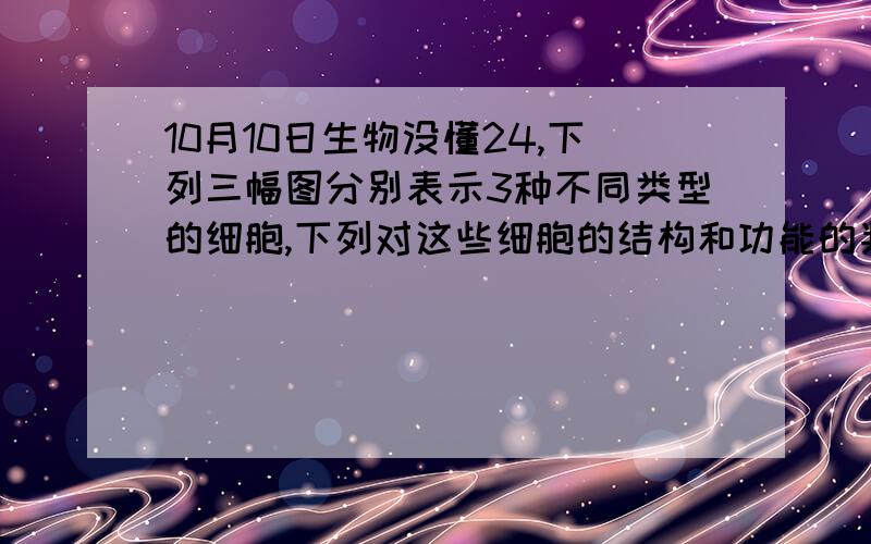 10月10日生物没懂24,下列三幅图分别表示3种不同类型的细胞,下列对这些细胞的结构和功能的判断,