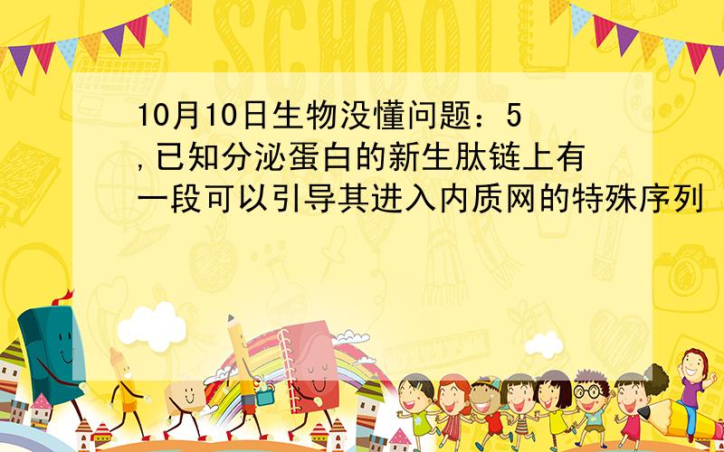 10月10日生物没懂问题：5,已知分泌蛋白的新生肽链上有一段可以引导其进入内质网的特殊序列（图中P肽段