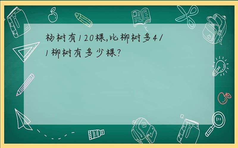 杨树有120棵,比柳树多4/1柳树有多少棵?