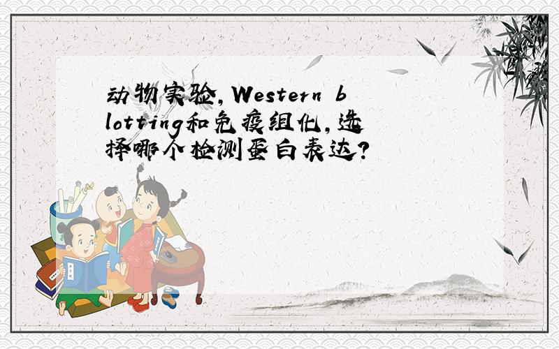 动物实验,Western blotting和免疫组化,选择哪个检测蛋白表达?