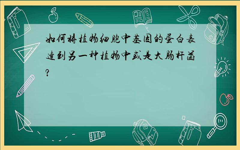 如何将植物细胞中基因的蛋白表达到另一种植物中或是大肠杆菌?