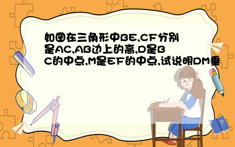 如图在三角形中BE,CF分别是AC,AB边上的高,D是BC的中点,M是EF的中点,试说明DM垂