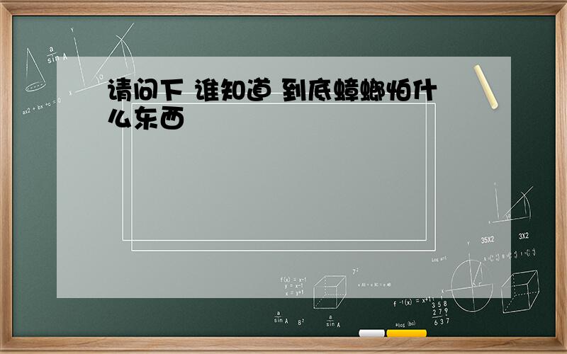 请问下 谁知道 到底蟑螂怕什么东西