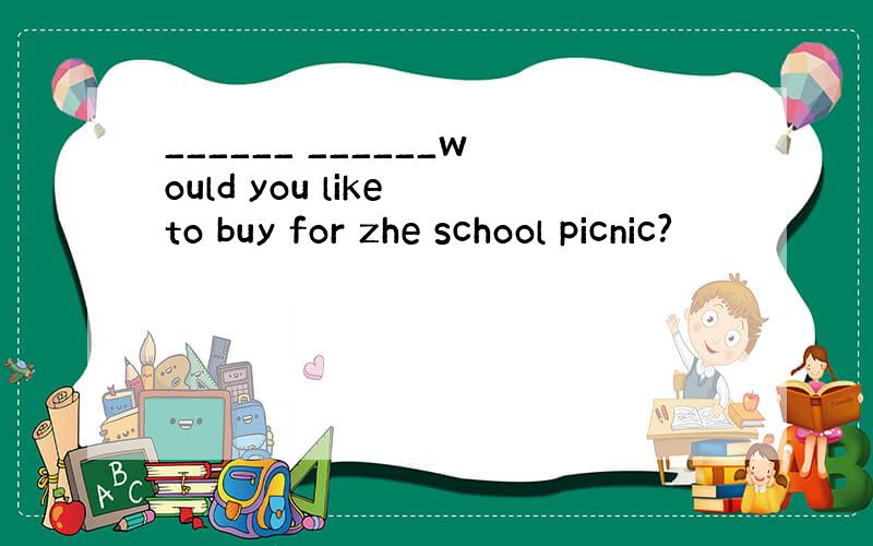 ______ ______would you like to buy for zhe school picnic?