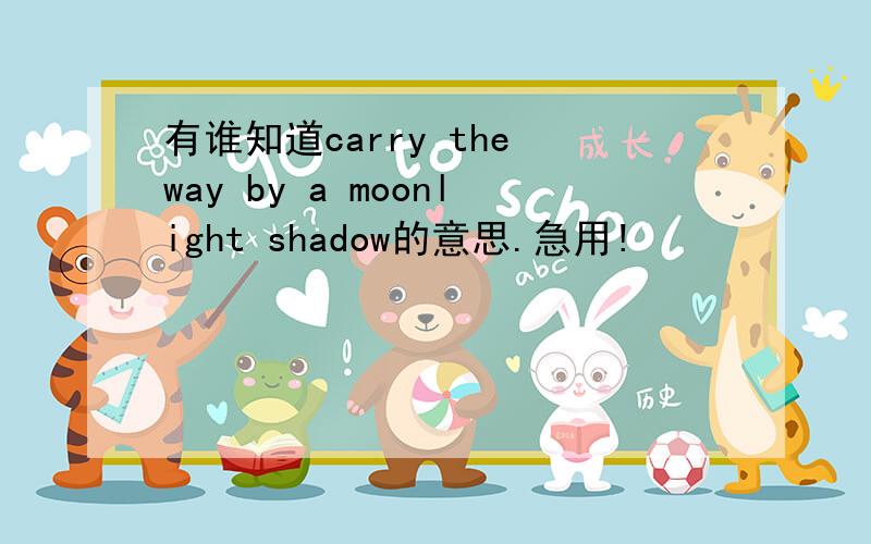 有谁知道carry the way by a moonlight shadow的意思.急用!