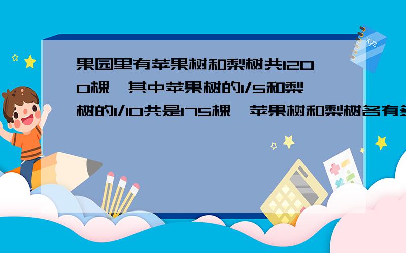 果园里有苹果树和梨树共1200棵,其中苹果树的1/5和梨树的1/10共是175棵,苹果树和梨树各有多少棵?