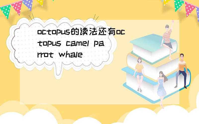 octopus的读法还有octopus camel parrot whale