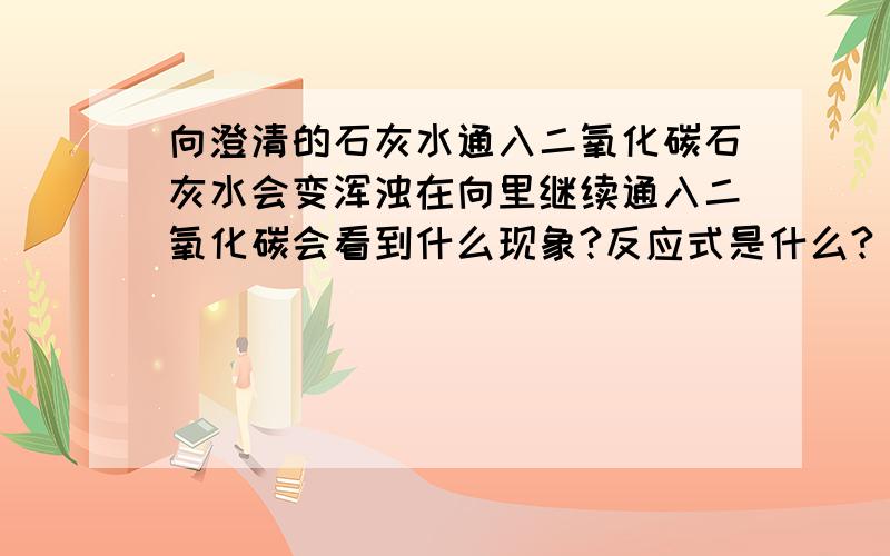 向澄清的石灰水通入二氧化碳石灰水会变浑浊在向里继续通入二氧化碳会看到什么现象?反应式是什么?