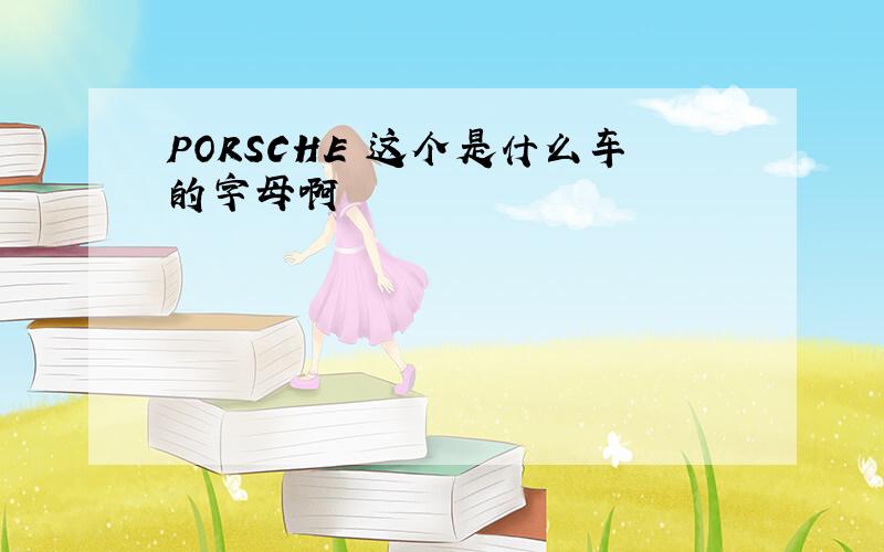 PORSCHE 这个是什么车的字母啊