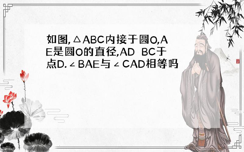 如图,△ABC内接于圆O,AE是圆O的直径,AD⊥BC于点D.∠BAE与∠CAD相等吗