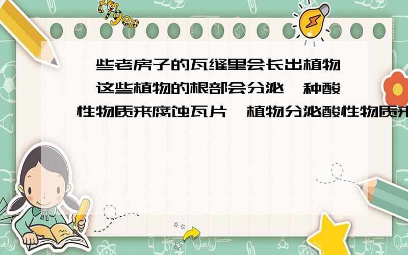 一些老房子的瓦缝里会长出植物,这些植物的根部会分泌一种酸性物质来腐蚀瓦片,植物分泌酸性物质来自于?