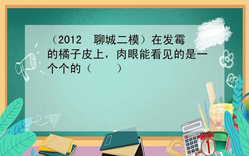 （2012•聊城二模）在发霉的橘子皮上，肉眼能看见的是一个个的（　　）