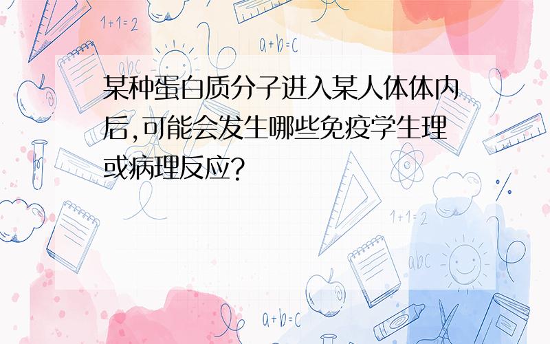 某种蛋白质分子进入某人体体内后,可能会发生哪些免疫学生理或病理反应?