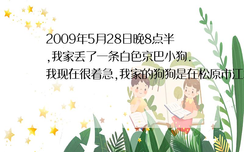 2009年5月28日晚8点半,我家丢了一条白色京巴小狗.我现在很着急,我家的狗狗是在松原市江北客运站门前丢失的.小狗名叫