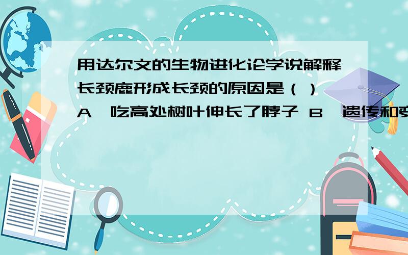 用达尔文的生物进化论学说解释长颈鹿形成长颈的原因是（） A,吃高处树叶伸长了脖子 B,遗传和变异