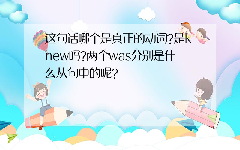 这句话哪个是真正的动词?是knew吗?两个was分别是什么从句中的呢?