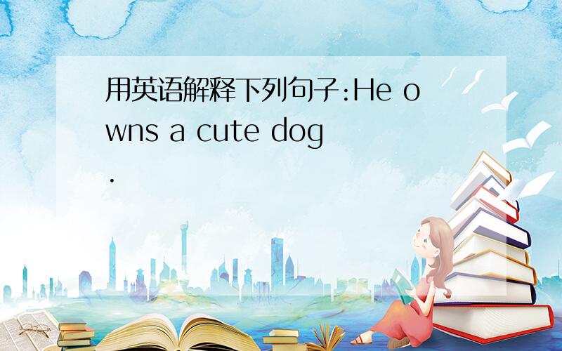 用英语解释下列句子:He owns a cute dog.