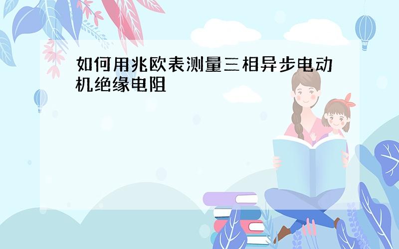 如何用兆欧表测量三相异步电动机绝缘电阻